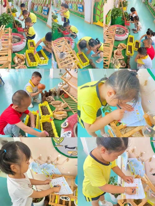 石狮市宝盖镇上浦幼儿园招生开始啦