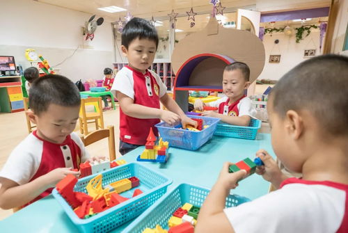 明年全市公办幼儿园收费拟上调,市教育局 支持有条件的区免费