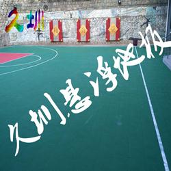 数码地板