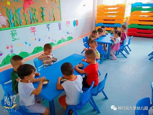 秭归县九里幼儿园 幼儿体验活动